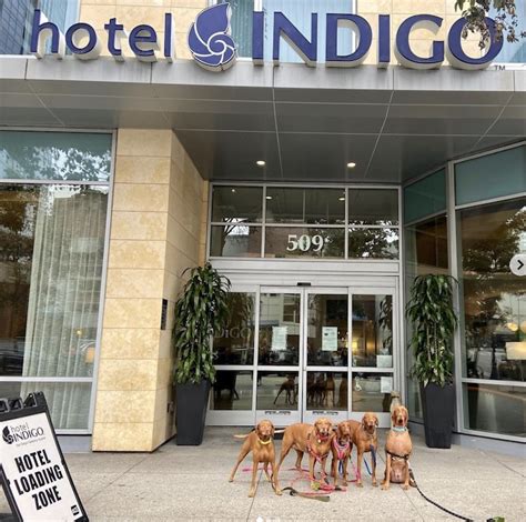Dog friendly chicago hotels  Bring your pooch along to one of Chicago's largest fenced recreation areas